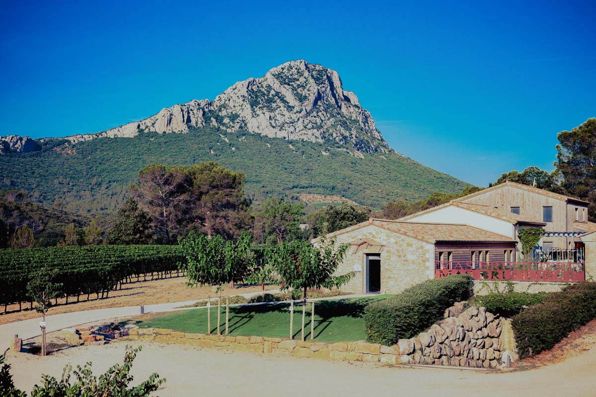 Pic Saint Loup Mas Bruguière